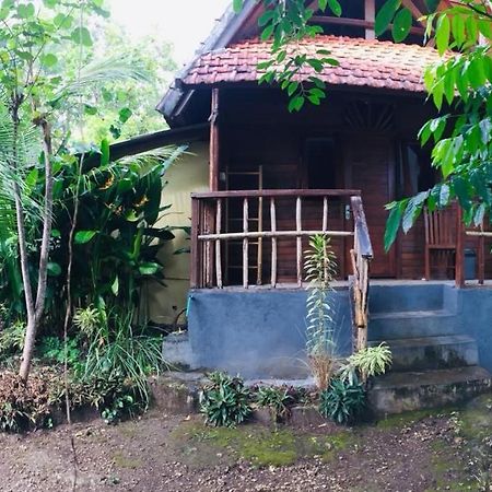 Echo Alam Nusa Lodge Ped Kültér fotó