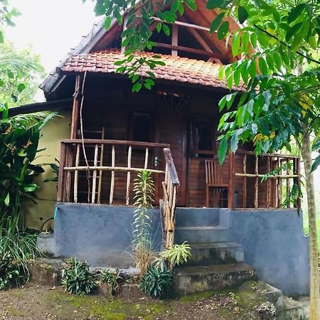 Echo Alam Nusa Lodge Ped Kültér fotó