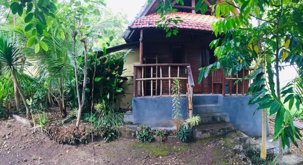 Echo Alam Nusa Lodge Ped Kültér fotó