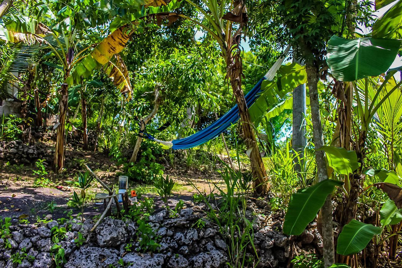 Echo Alam Nusa Lodge Ped Kültér fotó