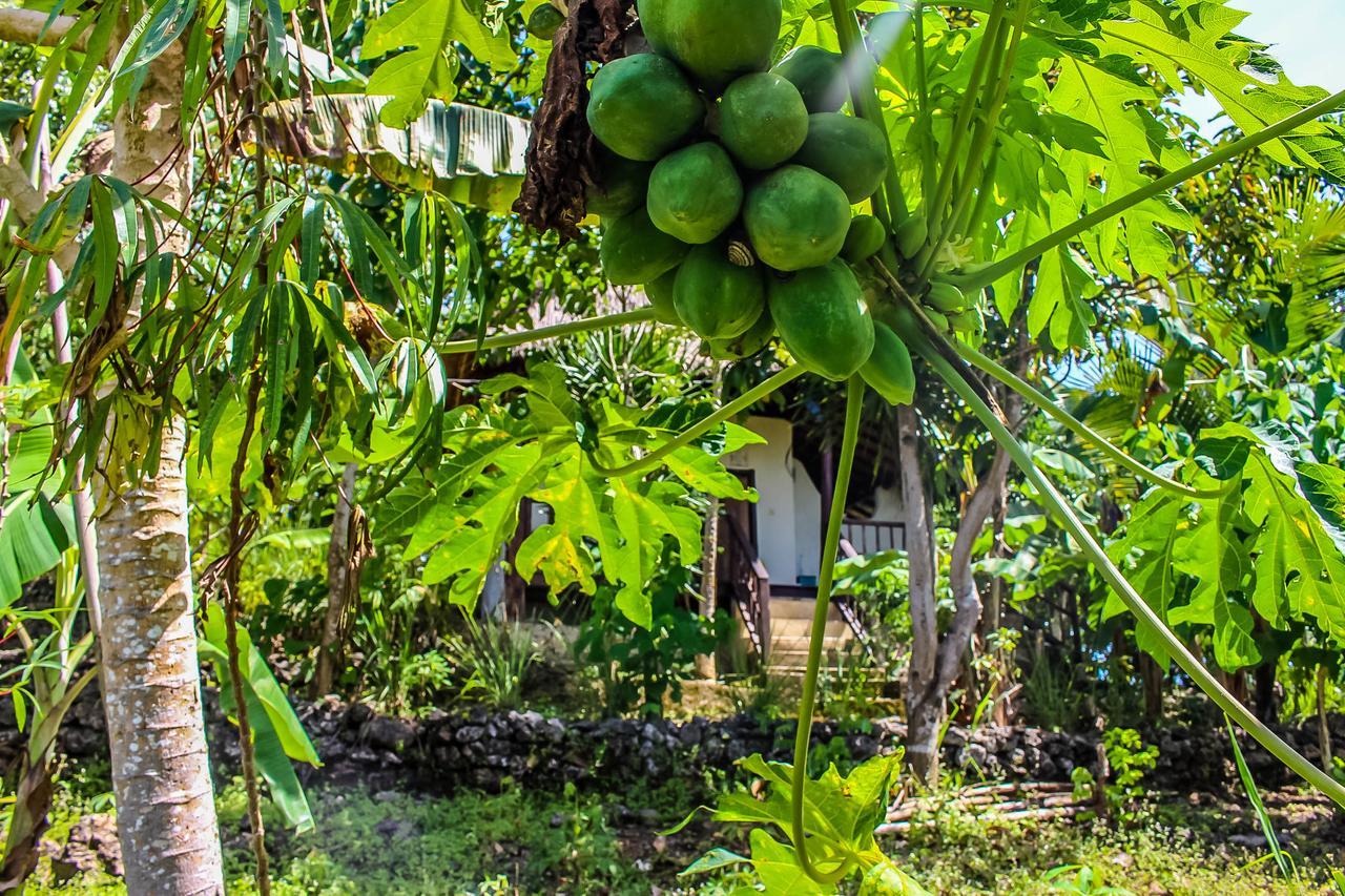 Echo Alam Nusa Lodge Ped Kültér fotó