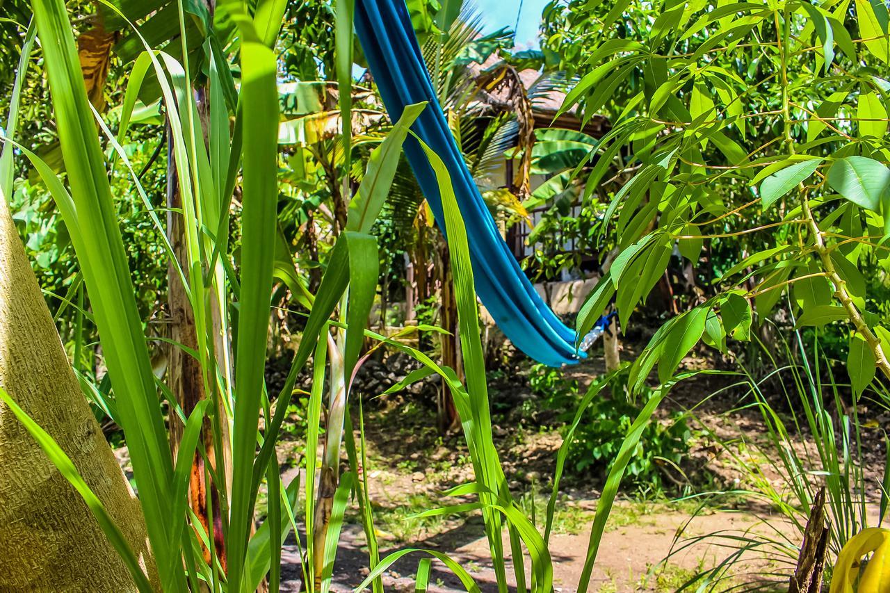 Echo Alam Nusa Lodge Ped Kültér fotó